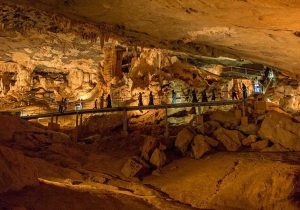 Specilaized Architectural Works